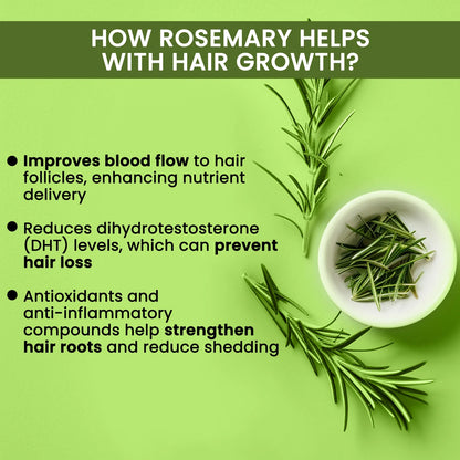 🌿 Rosemary Water Hair Spray for Regrowth | Buy 1 Get 3 (Pack of 3 and 6)